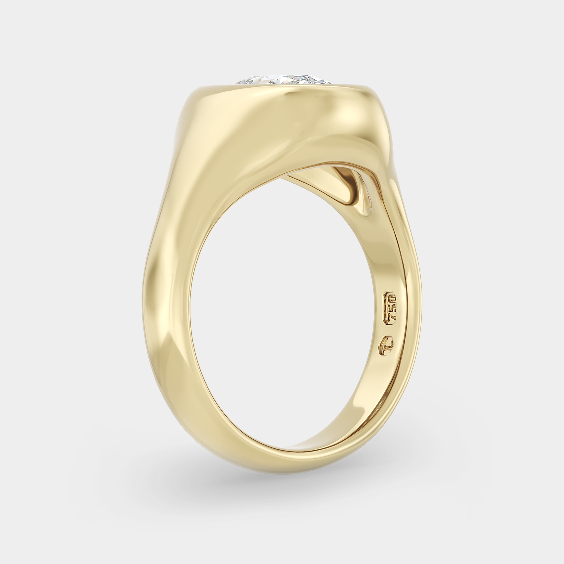 Forme Elongated Cushion Signet