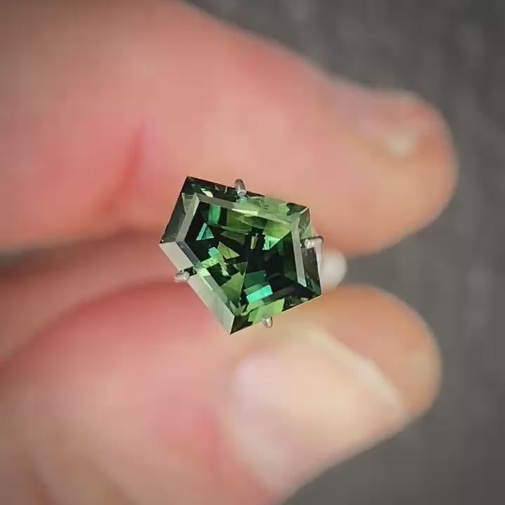 WS 2794