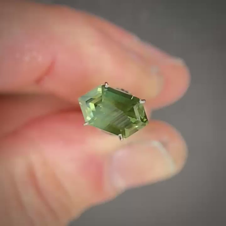 WS 1791