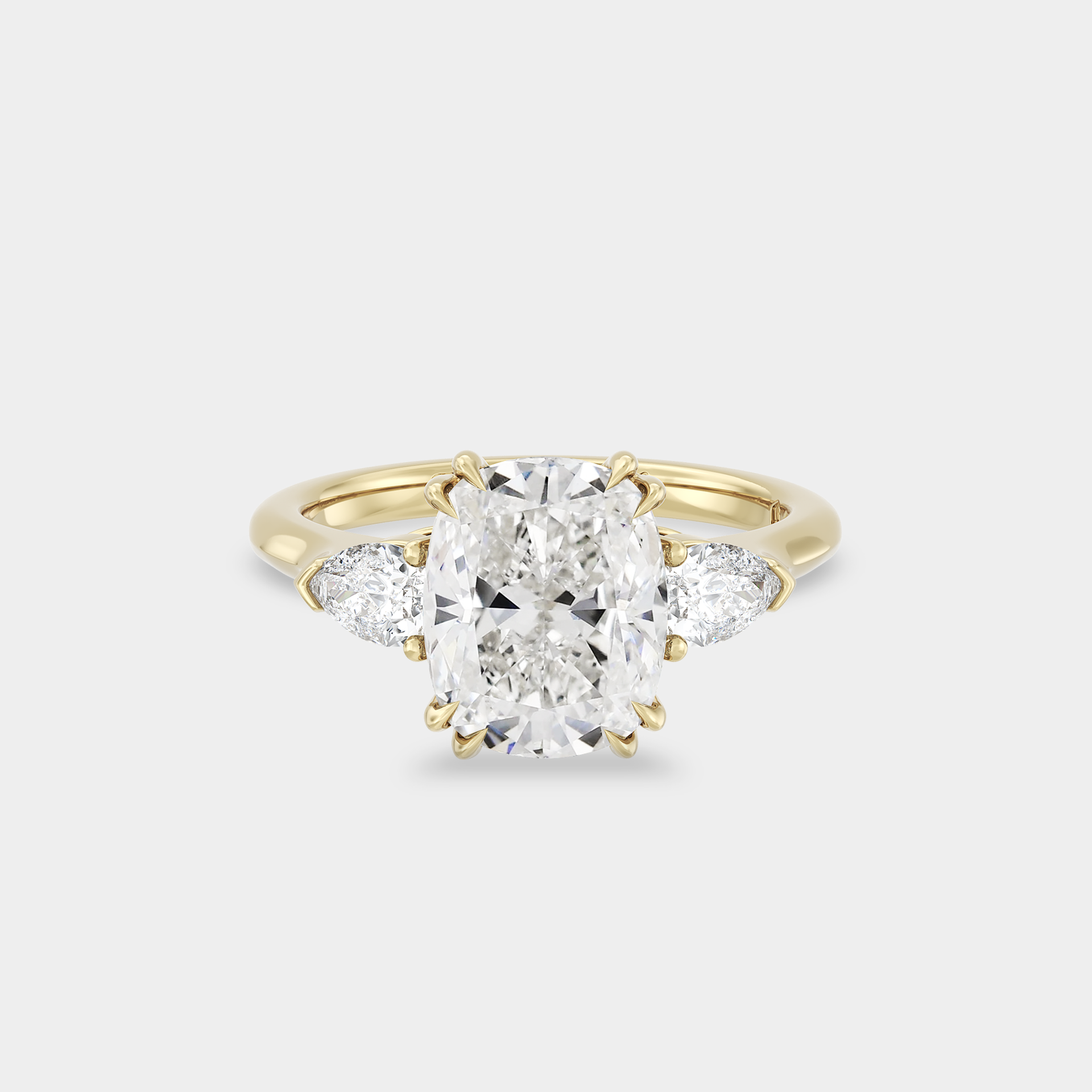 Trilogy of Elongated Lab Cushion & Pear