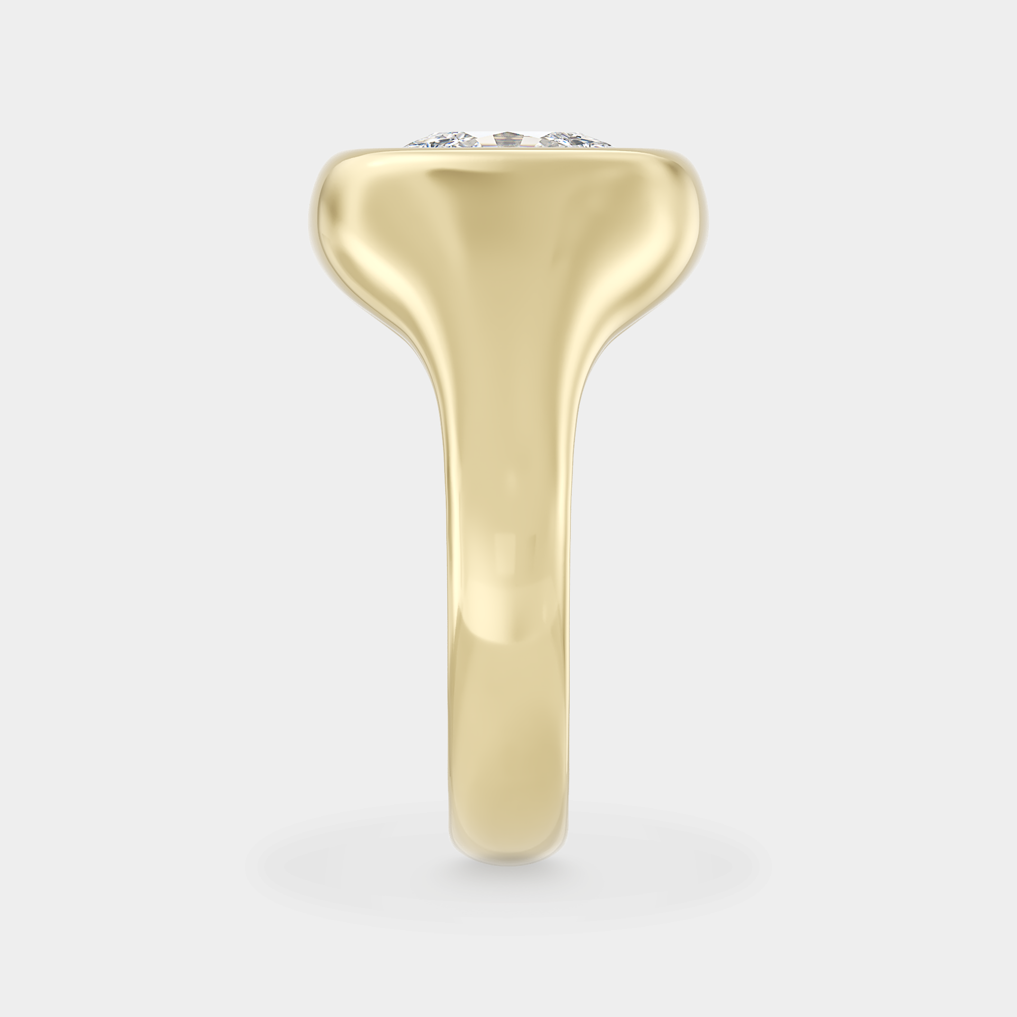 Forme Elongated Cushion Signet