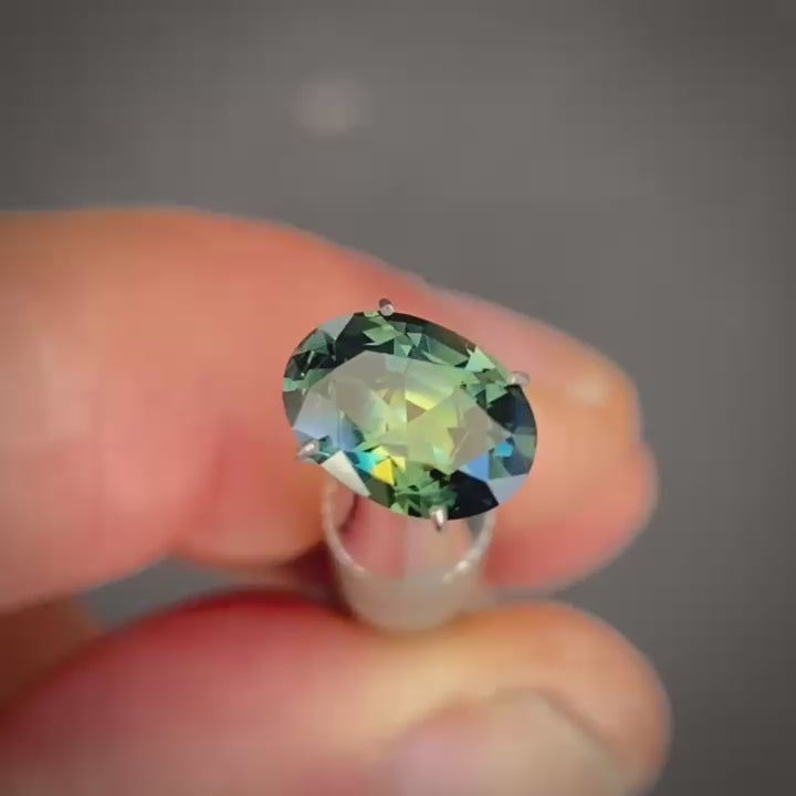 #WS 178