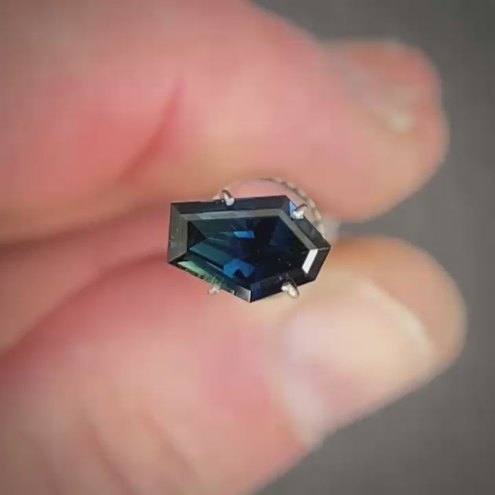 WS 2772