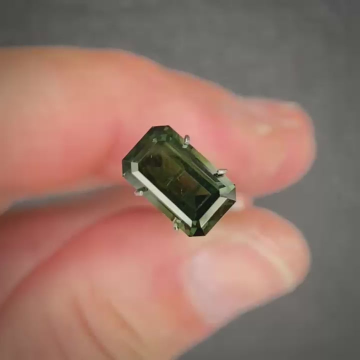 WS 2173
