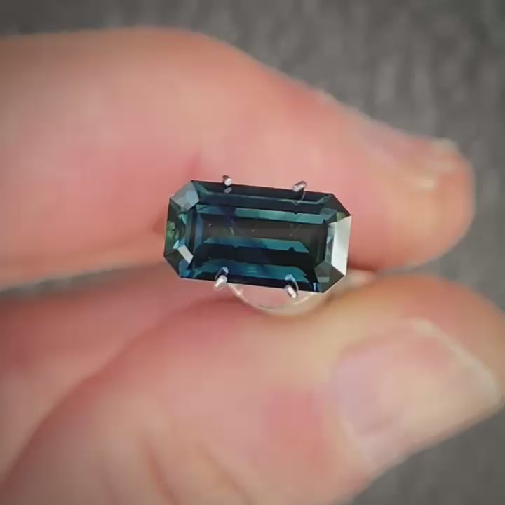 WS 2560