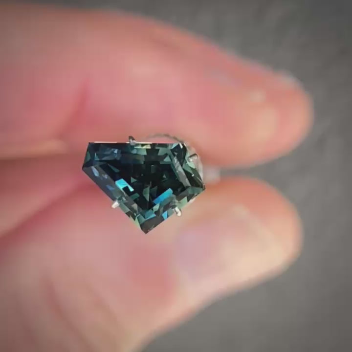 WS 2655