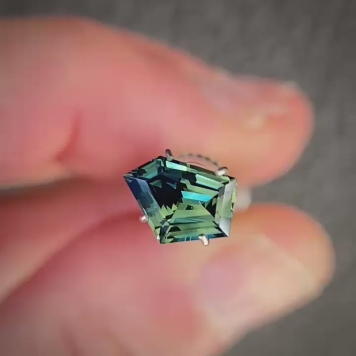 WS 2627
