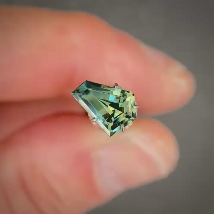 1.54ct Freeform Blue Sapphire