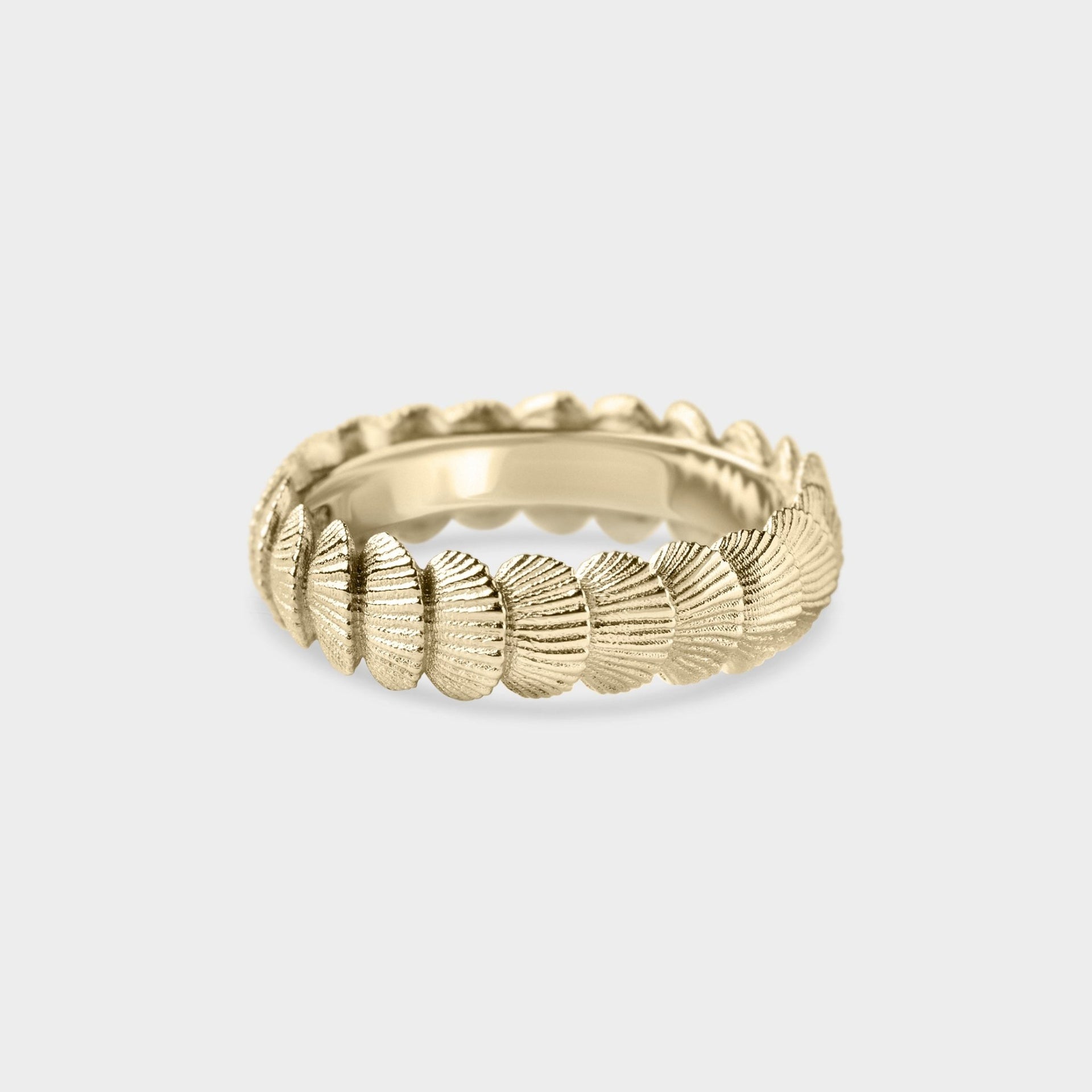 Organic Shell Band - Laher - 