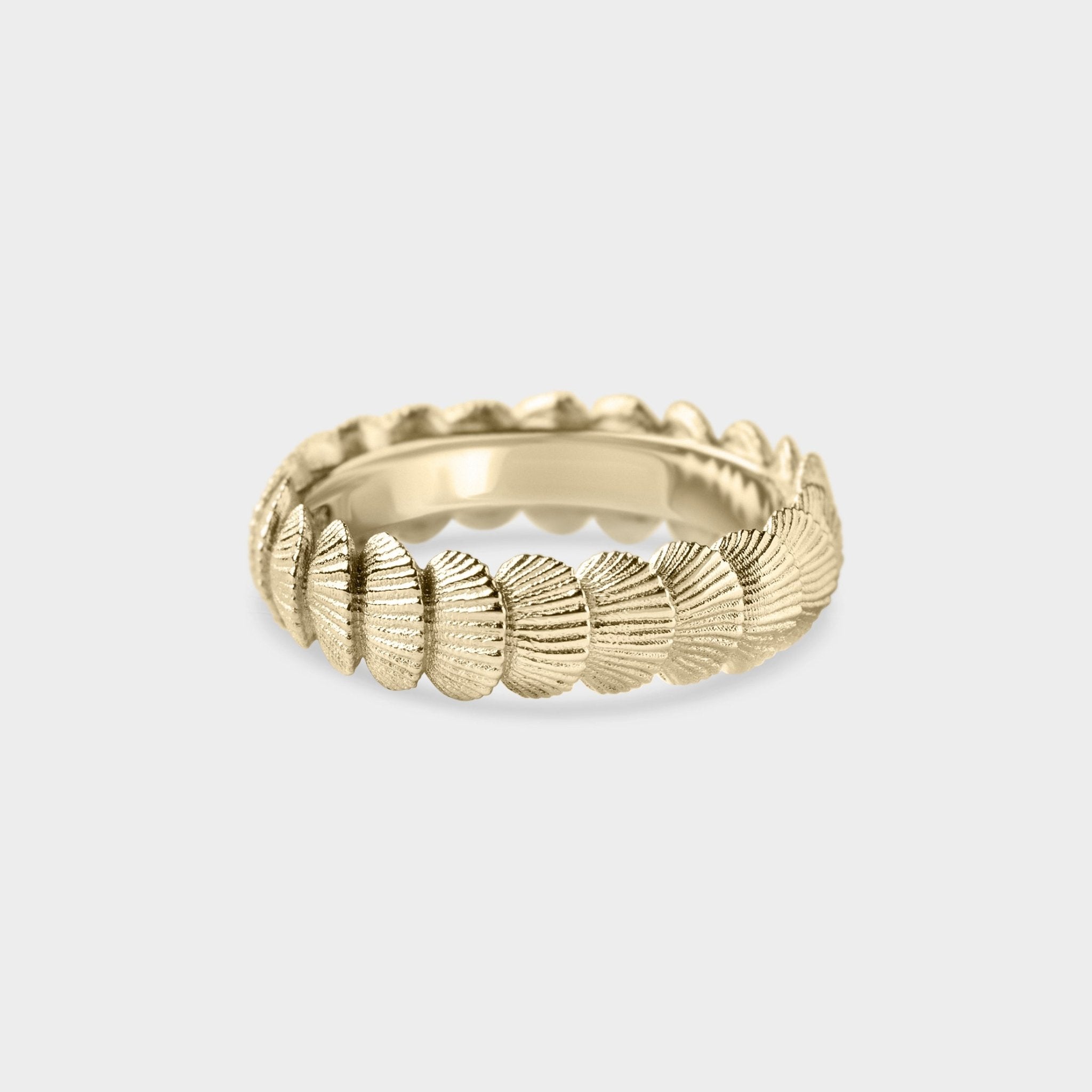 Organic Shell Band - Laher - 