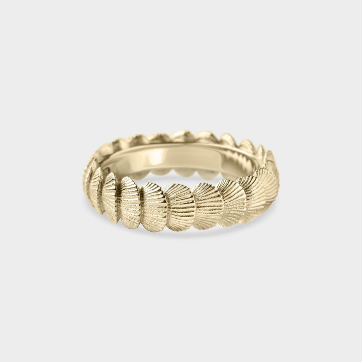 Organic Shell Band - Laher - 