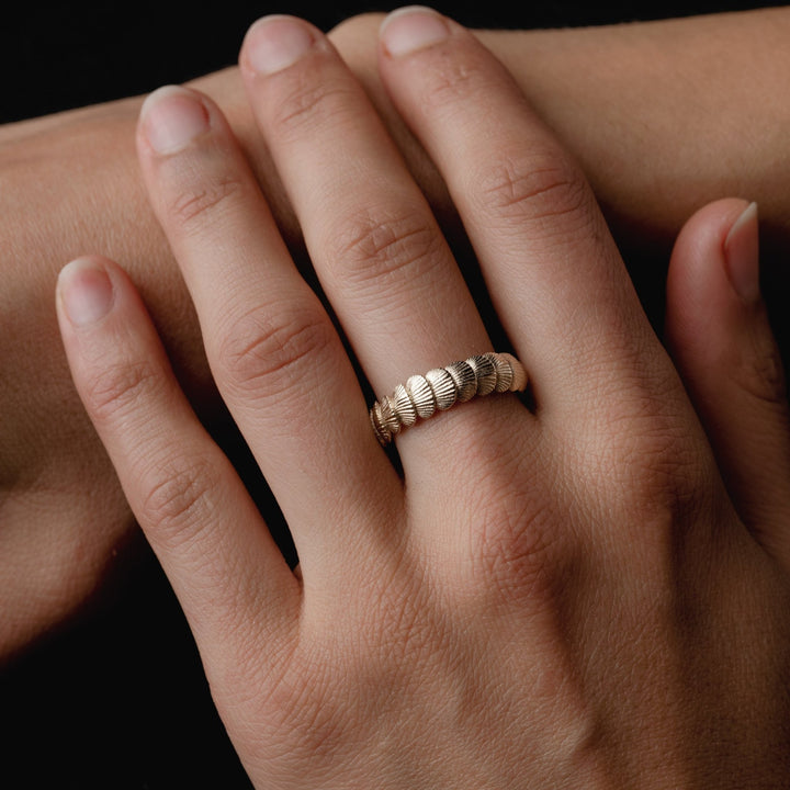 Organic Shell Band - Laher - 