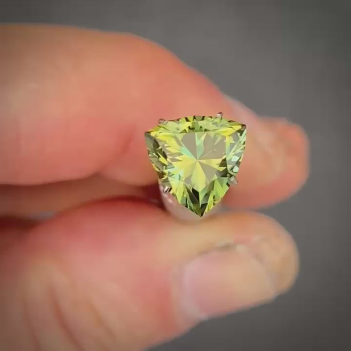 #485