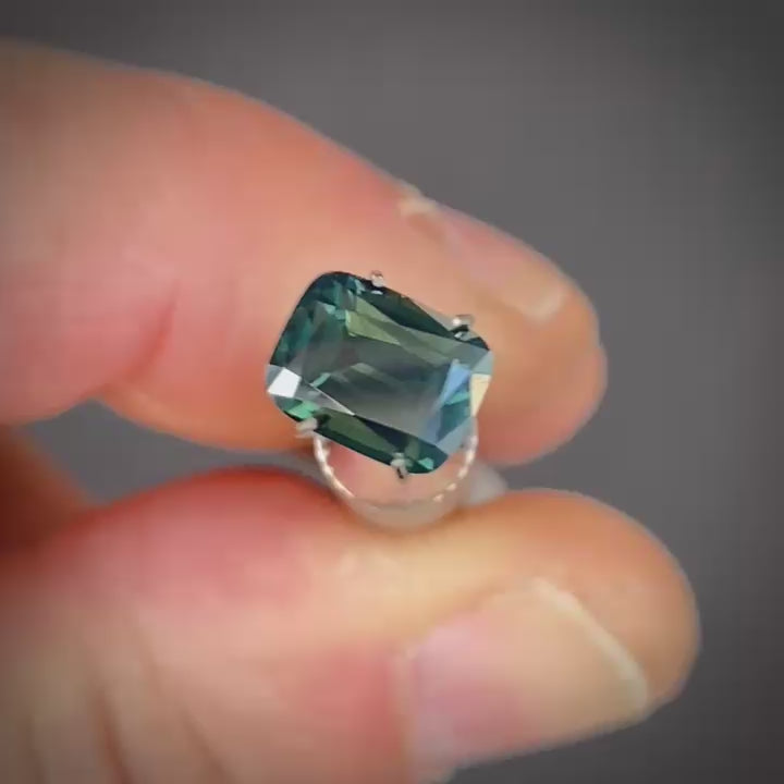 WS 102