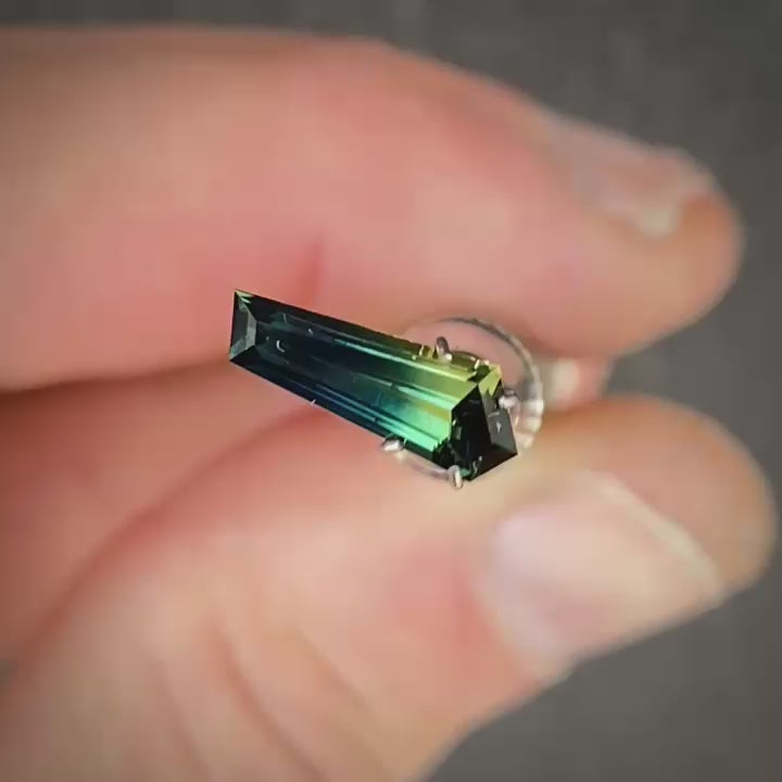 WS 2781