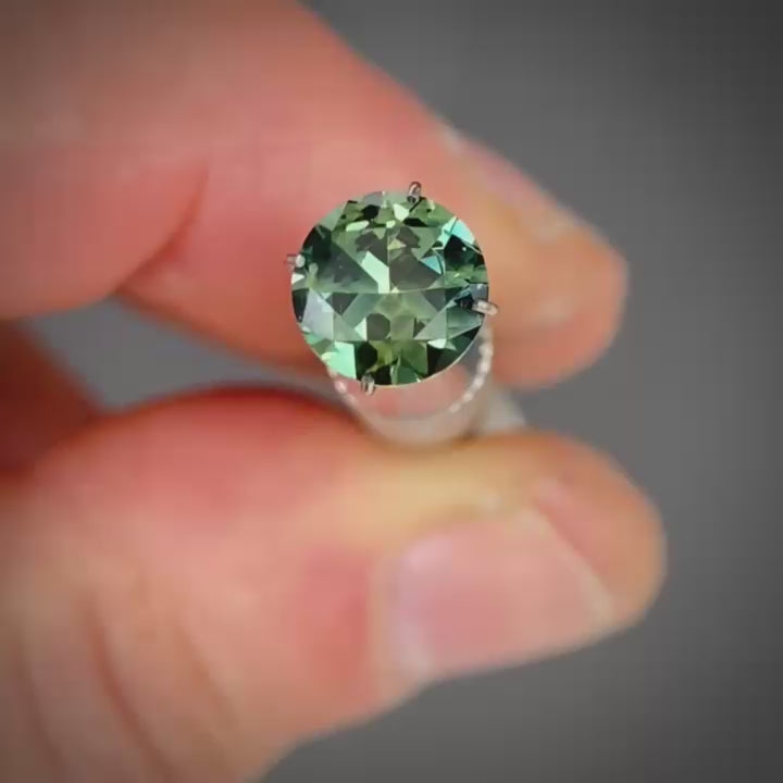 WS 1046
